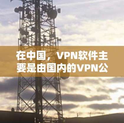 在中国，VPN软件主要是由国内的VPN公司提供，这些公司主要提供加密VPN服务。以下是一些常见的VPN软件及其特点
