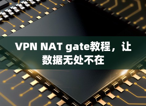 VPN NAT gate教程，让数据无处不在