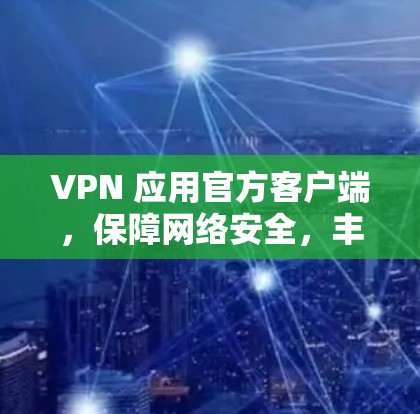 VPN 应用官方客户端，保障网络安全，丰富用户体验