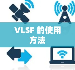 VLSF 的使用方法