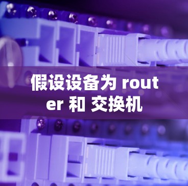 假设设备为 router 和 交换机