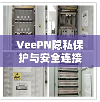 VeePN隐私保护与安全连接功能的深入分析