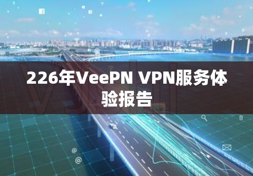 226年VeePN VPN服务体验报告