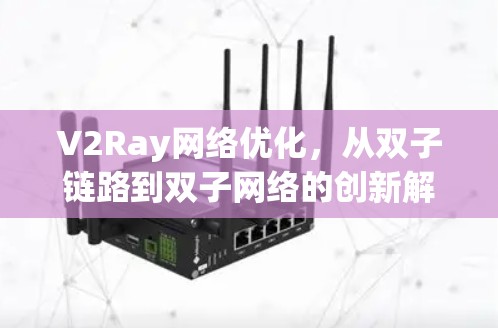 V2Ray网络优化，从双子链路到双子网络的创新解决方案