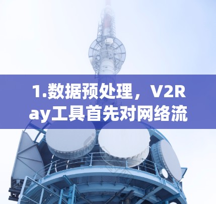 1.数据预处理，V2Ray工具首先对网络流量进行预处理，包括清洗和编码，以符合Transformer的输入格式