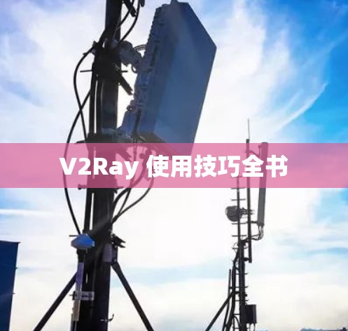 V2Ray 使用技巧全书