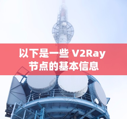 以下是一些 V2Ray 节点的基本信息