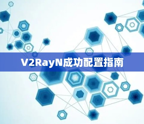 V2RayN成功配置指南