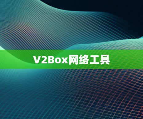 V2Box网络工具