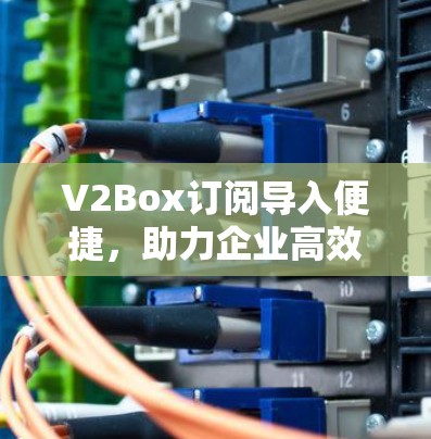 V2Box订阅导入便捷，助力企业高效存储
