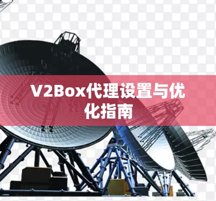 V2Box代理设置与优化指南