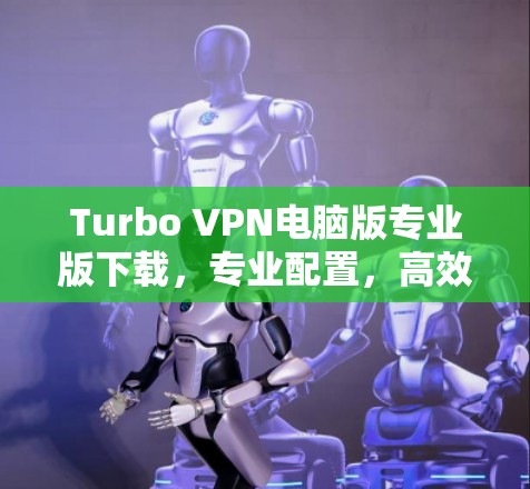 Turbo VPN电脑版专业版下载，专业配置，高效加密，轻松管理网络