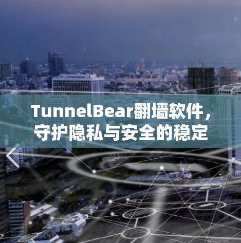 TunnelBear翻墙软件，守护隐私与安全的稳定梯子