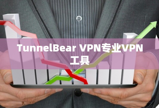 TunnelBear VPN专业VPN工具