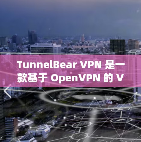 TunnelBear VPN 是一款基于 OpenVPN 的 VPN 应用程序，提供专业级的VPN服务。以下是对其真实使用体验的详细分析