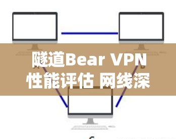 隧道Bear VPN性能评估 网线深度分析