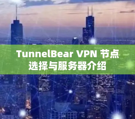 TunnelBear VPN 节点选择与服务器介绍