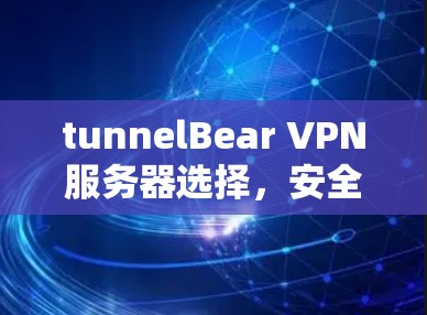 tunnelBear VPN服务器选择，安全与效率的平衡之道