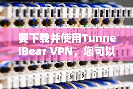 要下载并使用TunnelBear VPN，您可以按照以下步骤进行