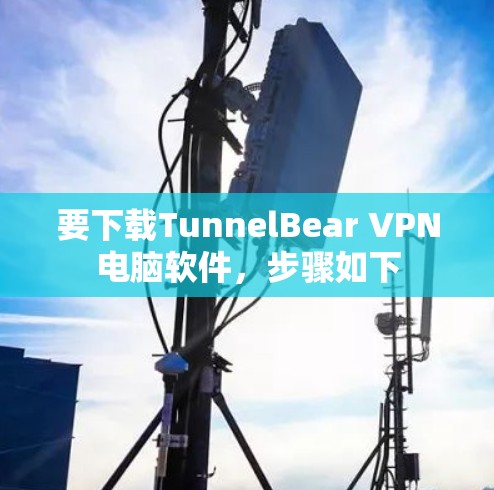 要下载TunnelBear VPN电脑软件，步骤如下