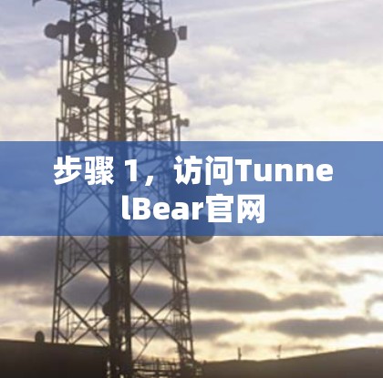 步骤 1，访问TunnelBear官网
