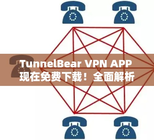TunnelBear VPN APP 现在免费下载！全面解析