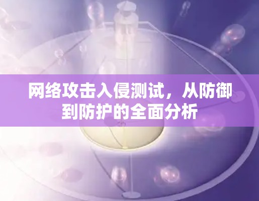 网络攻击入侵测试，从防御到防护的全面分析