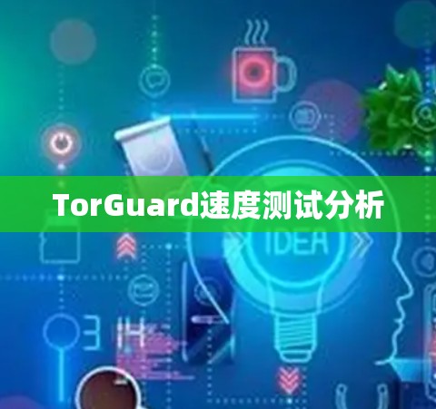 TorGuard速度测试分析