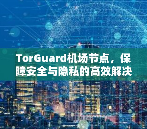 TorGuard机场节点，保障安全与隐私的高效解决方案