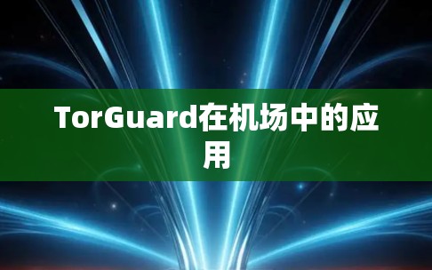 TorGuard在机场中的应用