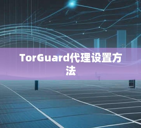 TorGuard代理设置方法