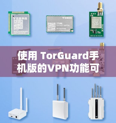 使用 TorGuard手机版的VPN功能可以有效地保护您的网络和数据。以下是使用 TorGuard进行手机版本VPN的详细步骤