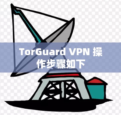 TorGuard VPN 操作步骤如下