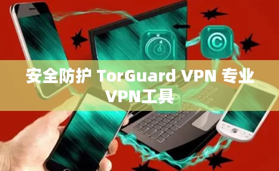 安全防护 TorGuard VPN 专业VPN工具