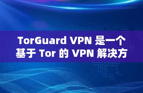 TorGuard VPN 是一个基于 Tor 的 VPN 解决方案，它提供了与 Tor 相关的所有协议，包括 11 和 223。以下是 TorGuard VPN 的真实体验总结