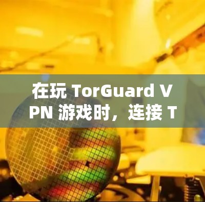 在玩 TorGuard VPN 游戏时，连接 Tor 的地址和端口需要仔细操作，以确保VPN的安全性和顺畅连接。以下是详细的步骤指南