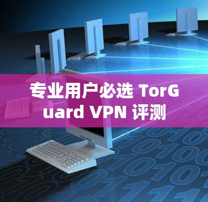 专业用户必选 TorGuard VPN 评测