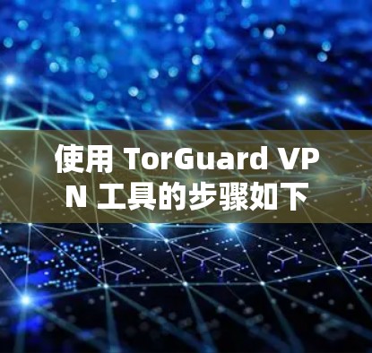 使用 TorGuard VPN 工具的步骤如下