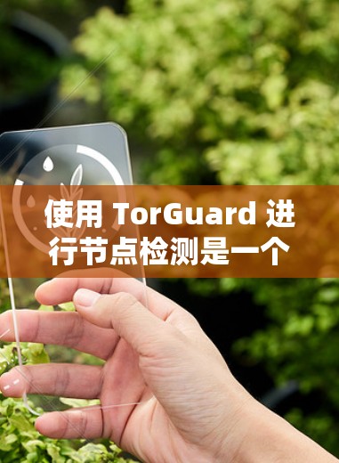 使用 TorGuard 进行节点检测是一个全面且专业的安全工具，能够帮助你识别和防范VPN节点的安全威胁。以下是一个逐步指南，帮助你使用 TorGuard 进行节点检测